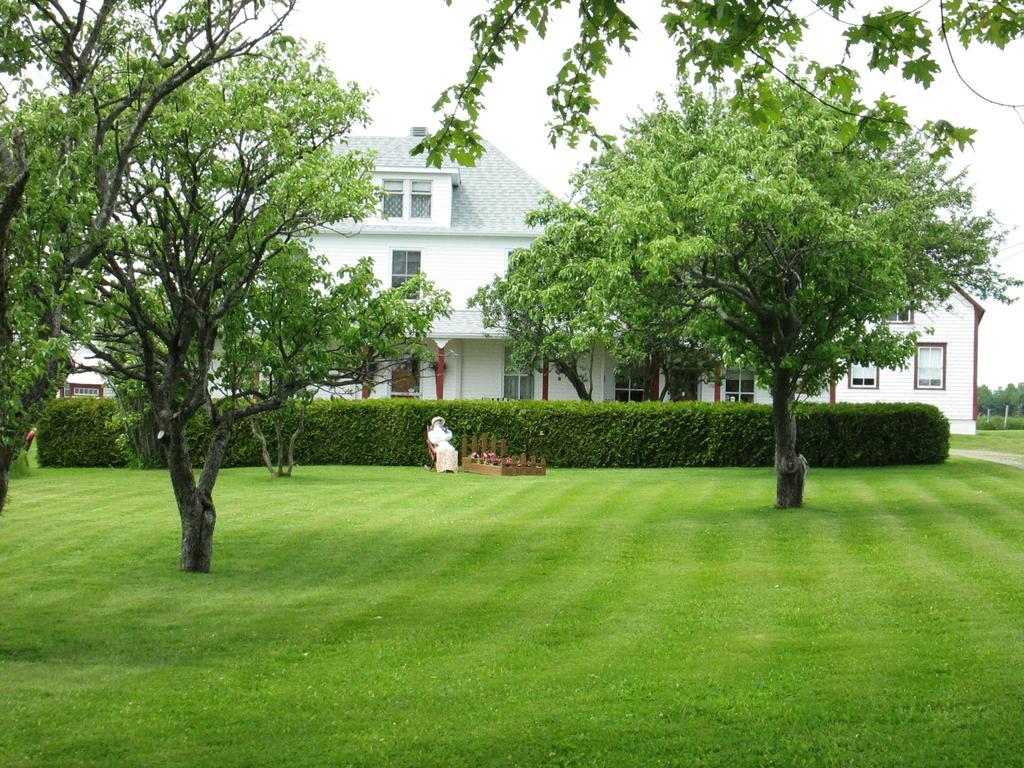 Gite Les Acres Tranquilles B&B Port-Daniel ภายนอก รูปภาพ