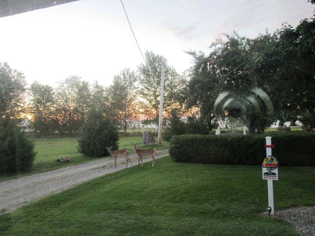 Gite Les Acres Tranquilles B&B Port-Daniel ภายนอก รูปภาพ