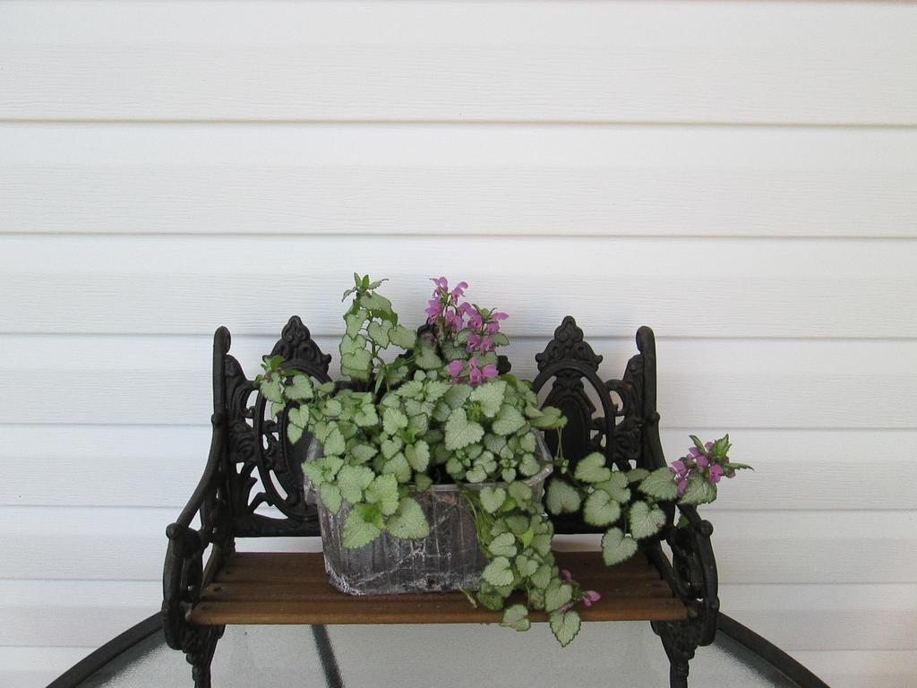Gite Les Acres Tranquilles B&B Port-Daniel ภายนอก รูปภาพ