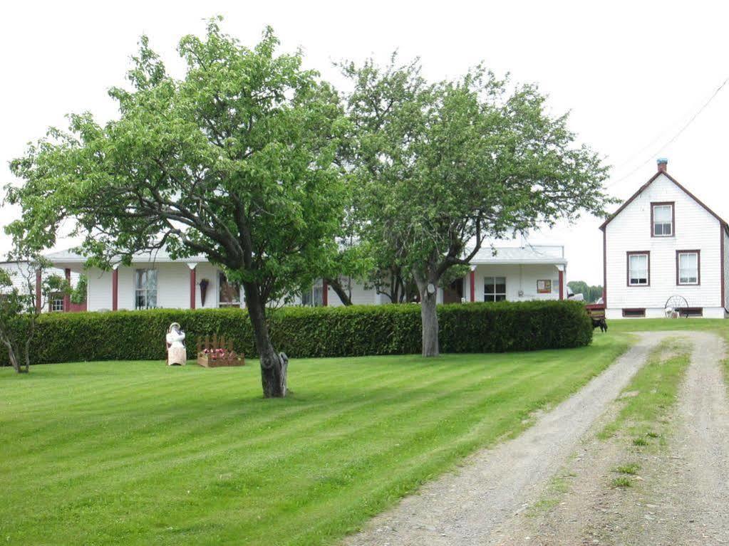 Gite Les Acres Tranquilles B&B Port-Daniel ภายนอก รูปภาพ